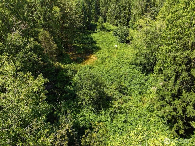 Property photo for 3009 Whiteman Road Sw, Lakebay photo 18
