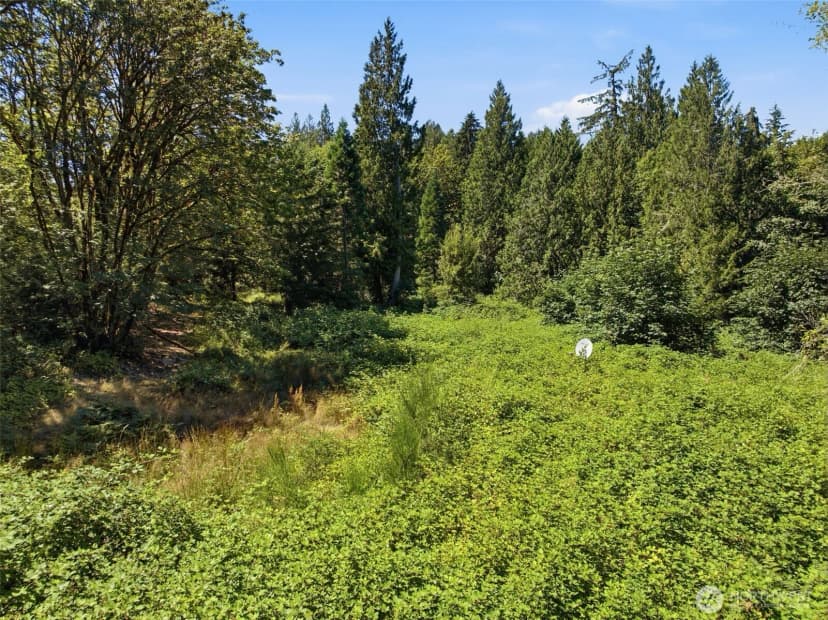 Property photo for 3009 Whiteman Road Sw, Lakebay photo 15