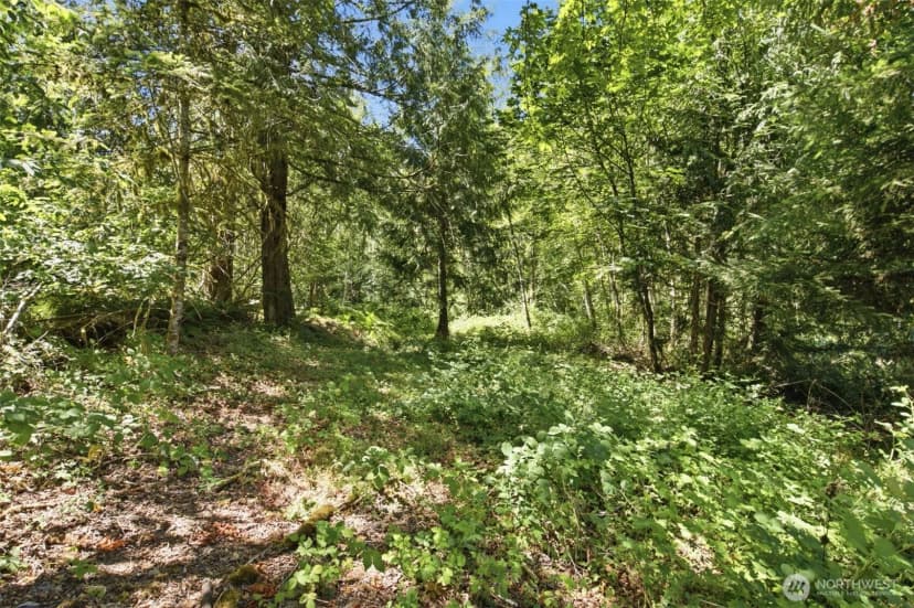 Property photo for 3009 Whiteman Road Sw, Lakebay photo 7
