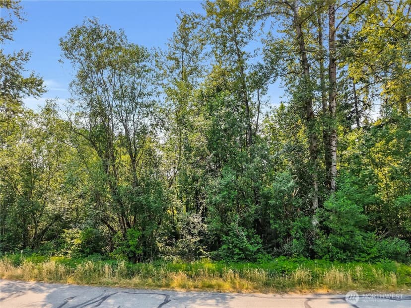 Property photo for 0 123xxx 202nd Place Se, Issaquah photo 12