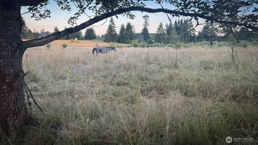 Property photo for 179 Bay Road, Winlock photo 6