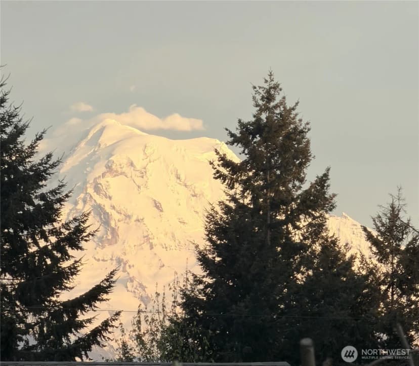 Property photo for 13104 Ridge Circle E, Bonney Lake photo 29