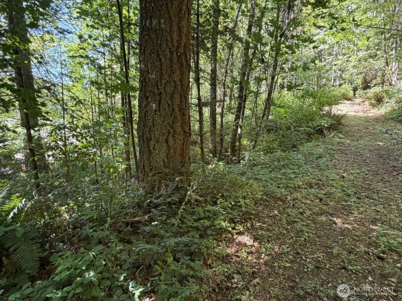 Property photo for 26003 Se Issaquah-fall City Road, Issaquah photo 19
