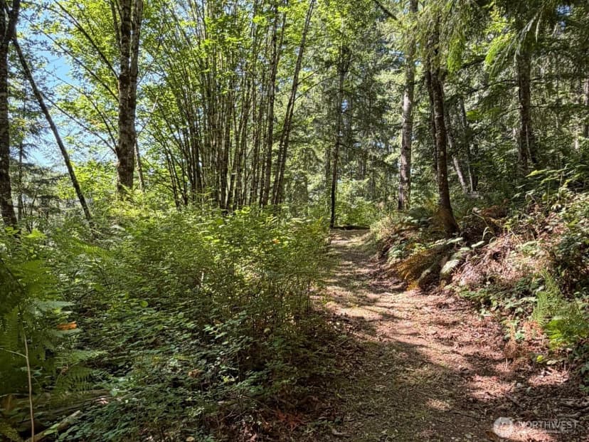 Property photo for 26003 Se Issaquah-fall City Road, Issaquah photo 17