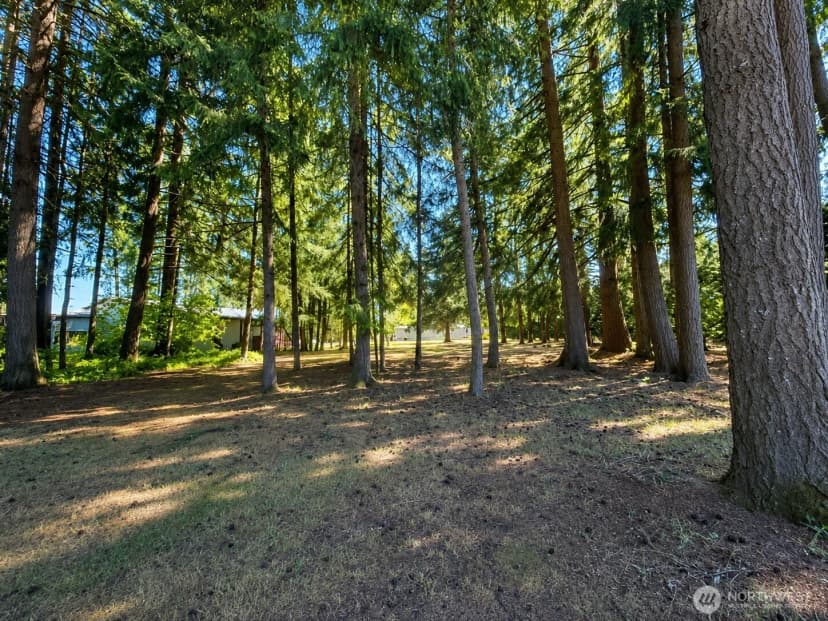 Property photo for 334 Harmon Road, Chehalis photo 32