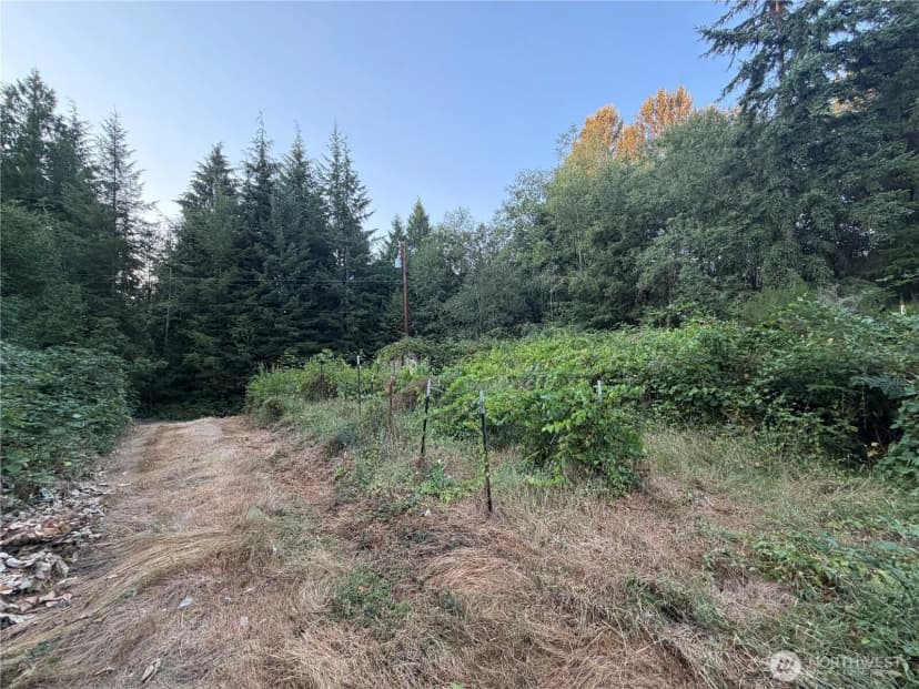 Property photo for 19009 51st Avenue Se, Bothell photo 33