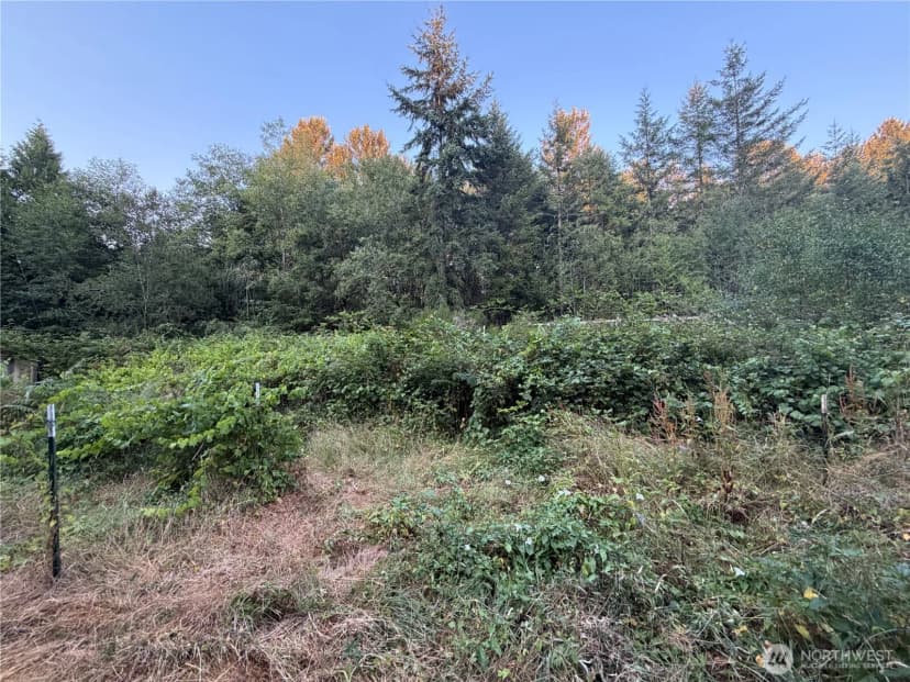 Property photo for 19009 51st Avenue Se, Bothell photo 32