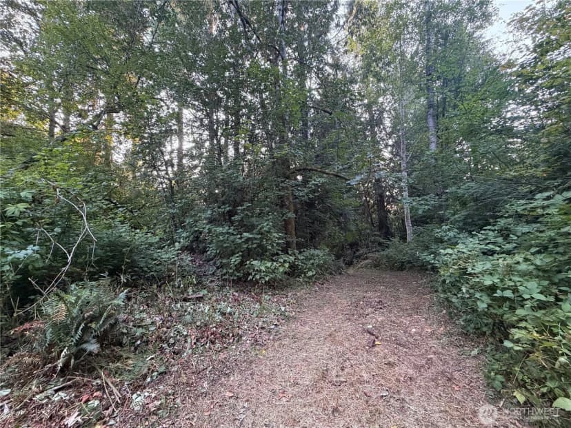 Property photo for 19009 51st Avenue Se, Bothell photo 14