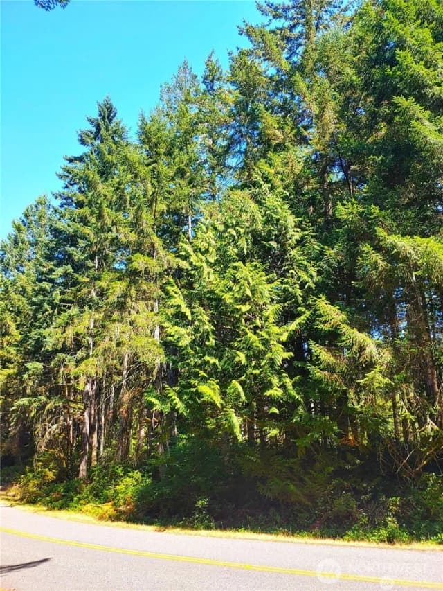 Property photo for 11511 Lake Josephine Boulevard, Anderson Island