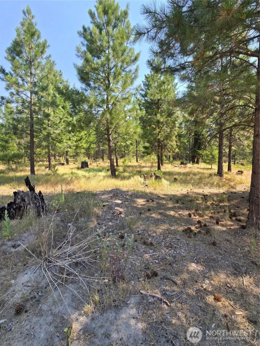 Property photo for 15 Appaloosa Road, Tonasket photo 6