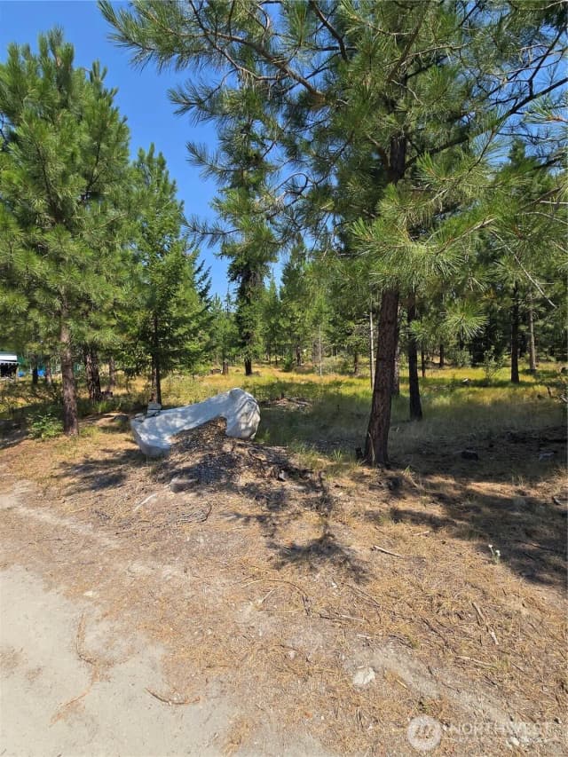 Property photo for 15 Appaloosa Road, Tonasket photo 5