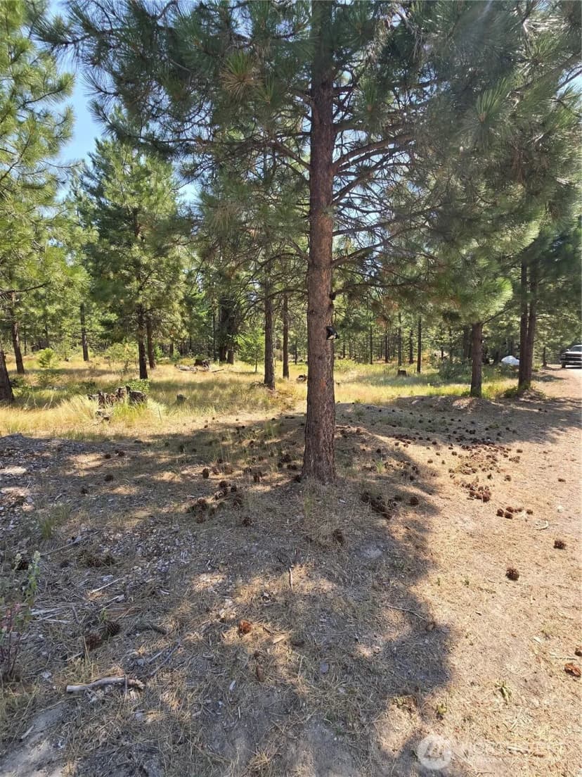 Property photo for 15 Appaloosa Road, Tonasket photo 7