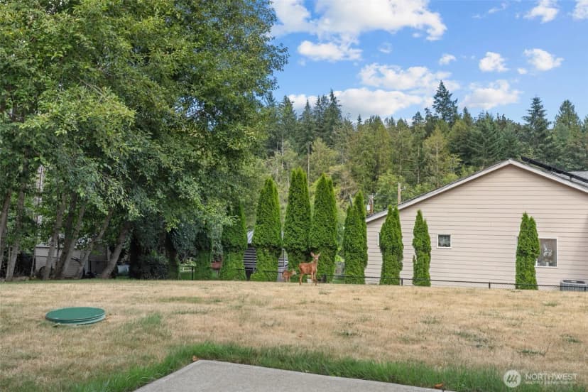 Property photo for 7977 E Clam Bay Court, Port Orchard photo 32
