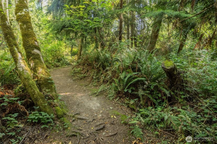 Property photo for 0 Xx Ne Baker Hill Road, Bainbridge Island photo 11