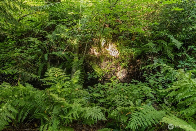 Property photo for 0 Xx Ne Baker Hill Road, Bainbridge Island photo 13