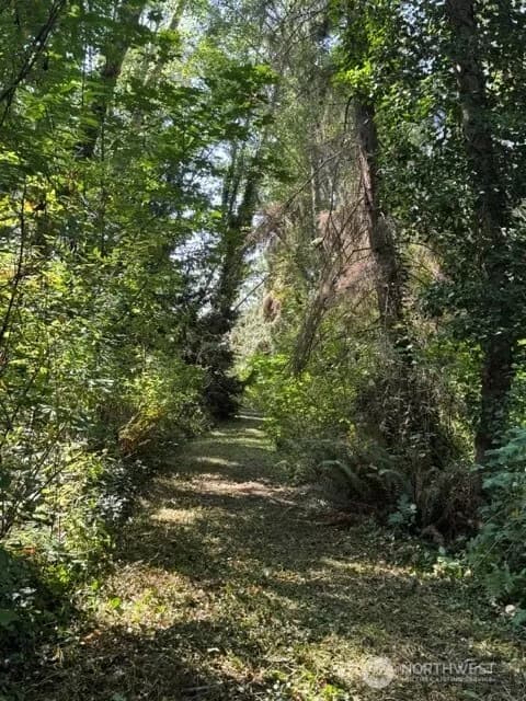Property photo for 0 Xx Ne Baker Hill Road, Bainbridge Island photo 19