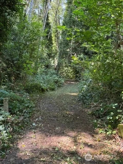 Property photo for 0 Xx Ne Baker Hill Road, Bainbridge Island photo 21