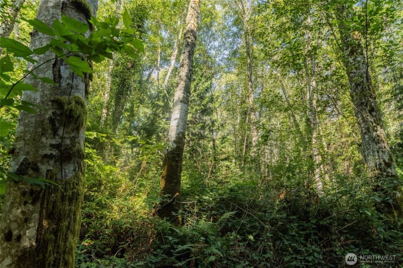 Property photo for 0 Xx Ne Baker Hill Road, Bainbridge Island photo 15