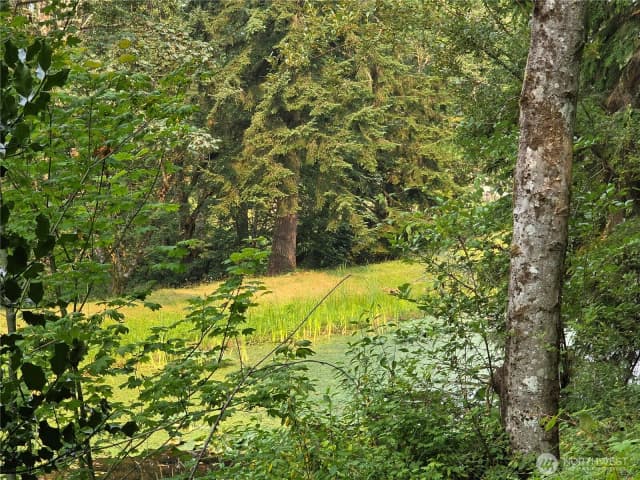 Property photo for 23904 Lot 8 E Lake Kayak Drive, Monroe photo 5