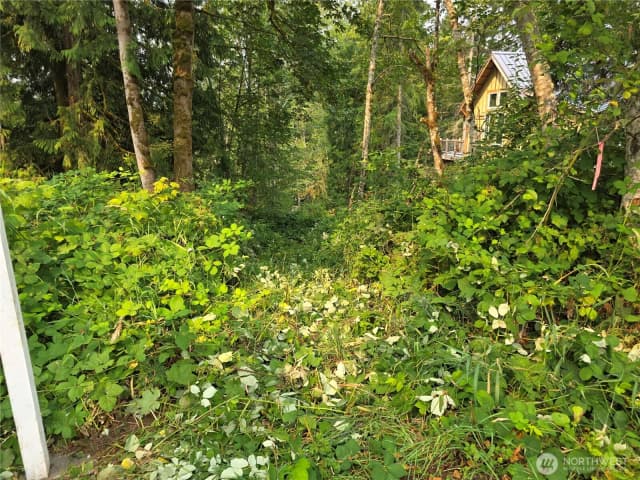 Property photo for 23904 Lot 8 E Lake Kayak Drive, Monroe photo 4