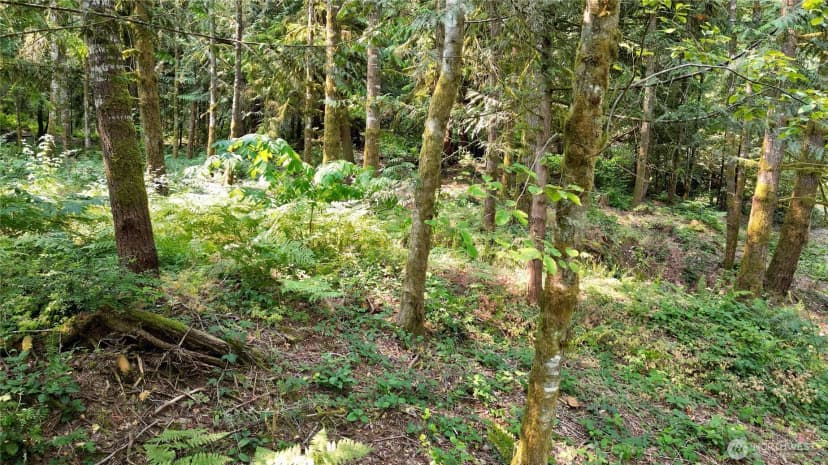Property photo for 6448 Se Skycrest Lane, Port Orchard photo 34