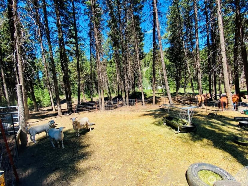 Property photo for 116 Pine Chee Road, Oroville photo 13