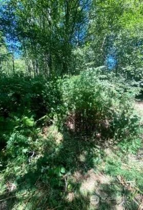 Property photo for 166 Se 51st Avenue, Bothell photo 5