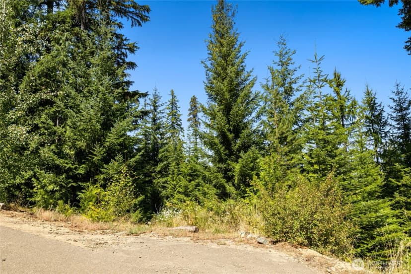 Property photo for 91 Basin Creek Way, Cle Elum photo 5