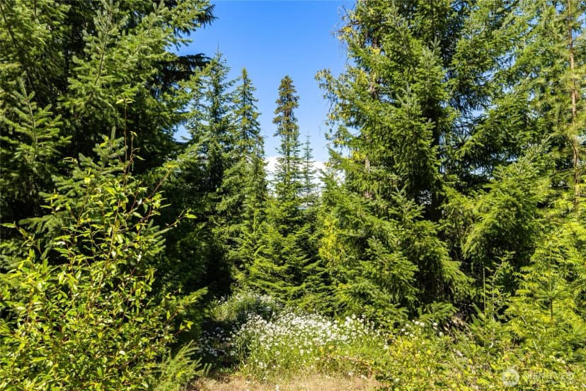 Property photo for 91 Basin Creek Way, Cle Elum photo 7