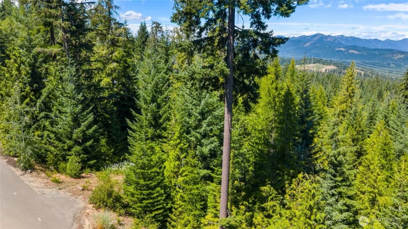 Property photo for 91 Basin Creek Way, Cle Elum photo 10