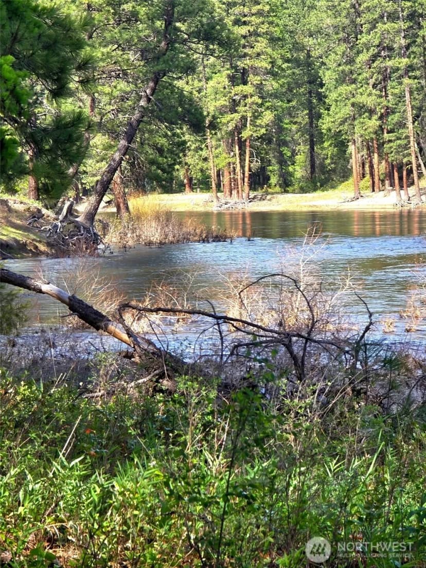 Property photo for 0 59tbd Siochanta Drive, Kettle Falls photo 11