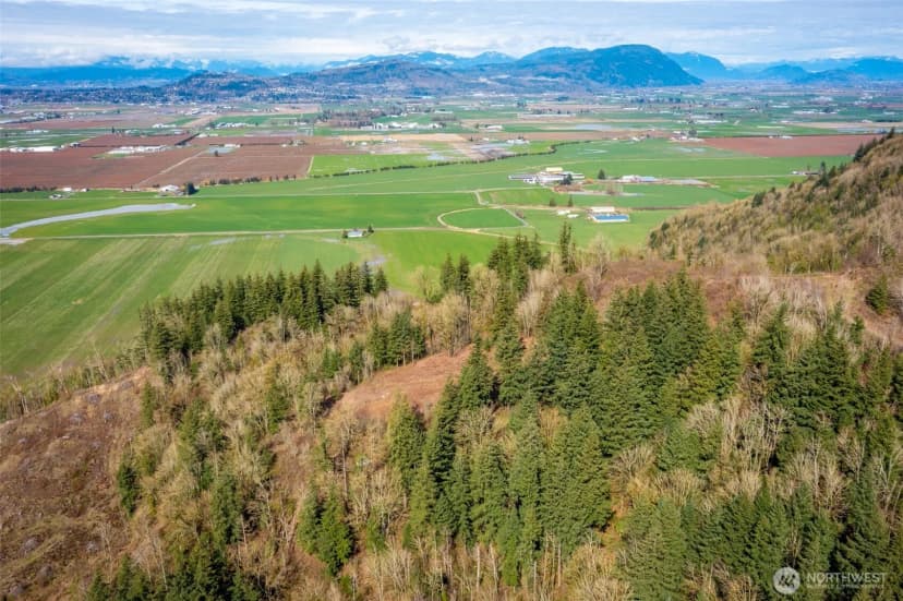 Property photo for 48 Xx Reese Hill Road, Sumas photo 6