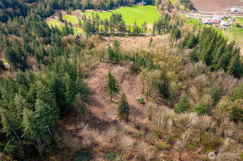 Property photo for 48 Xx Reese Hill Road, Sumas photo 10