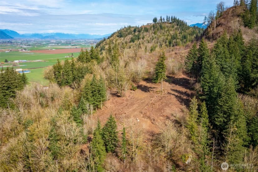 Property photo for 48 Xx Reese Hill Road, Sumas photo 8