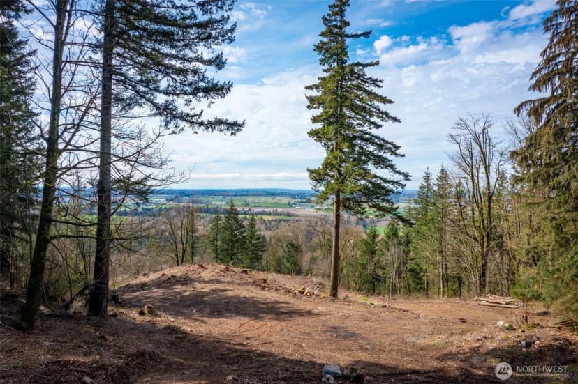 Property photo for 48 Xx Reese Hill Road, Sumas photo 13