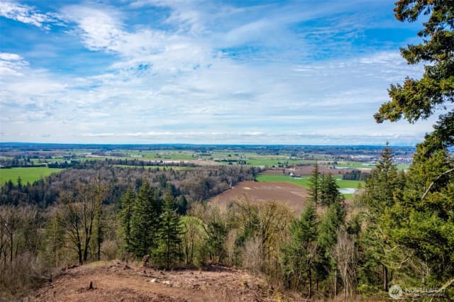 Property photo for 48 Xx Reese Hill Road, Sumas photo 3
