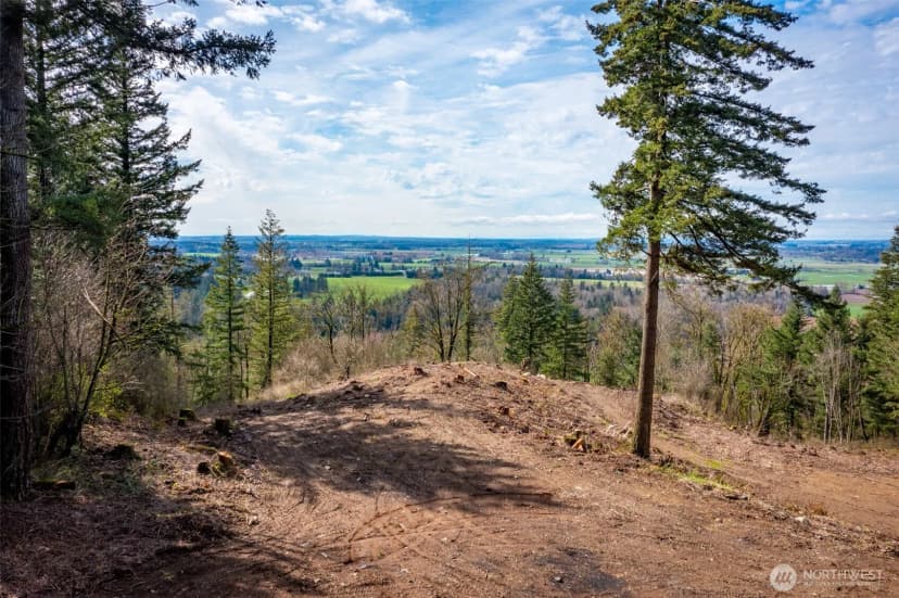 Property photo for 48 Xx Reese Hill Road, Sumas photo 12