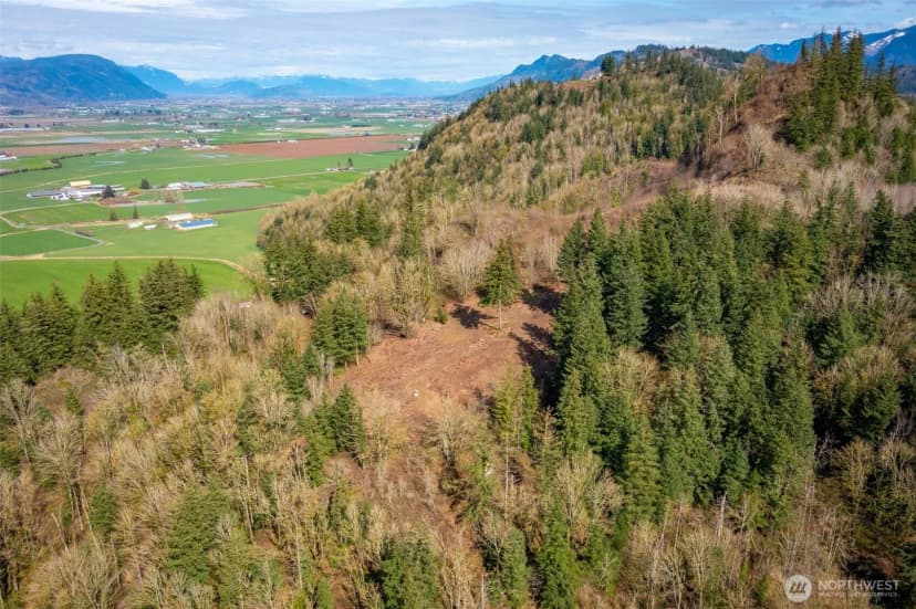 Property photo for 48 Xx Reese Hill Road, Sumas photo 7