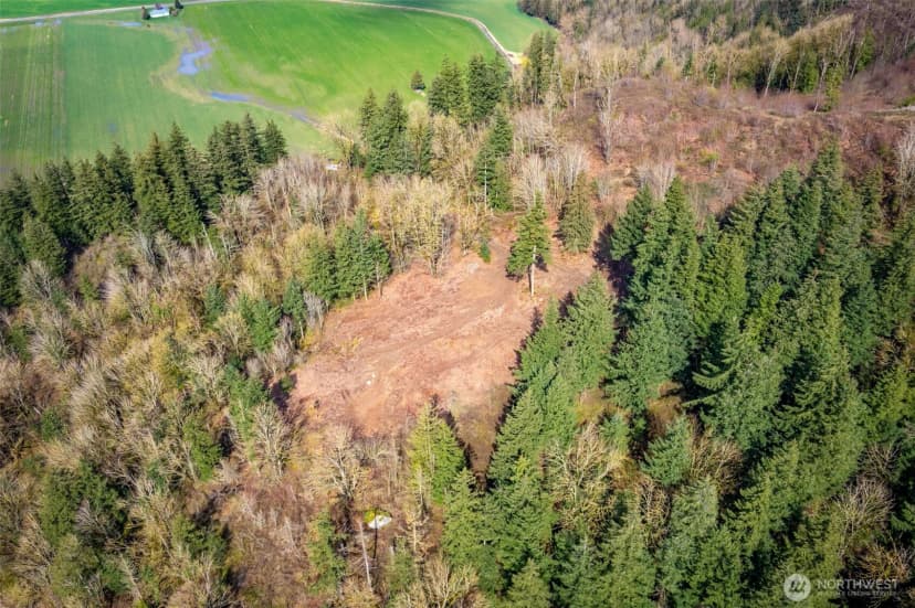 Property photo for 48 Xx Reese Hill Road, Sumas photo 11