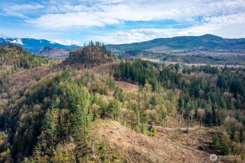 Property photo for 48 Xx Reese Hill Road, Sumas photo 17
