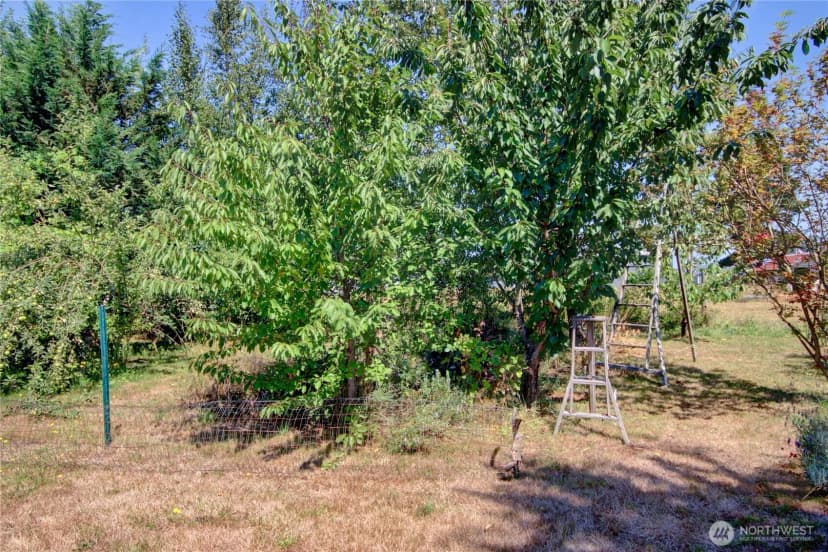 Property photo for 6749 Guide Meridian Road, Lynden photo 32