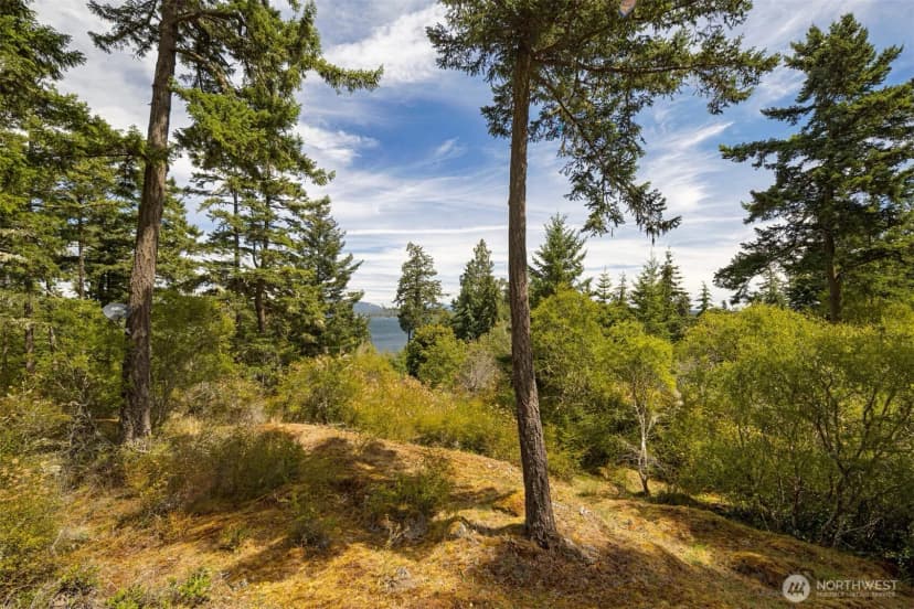 Property photo for 164 Bramblewood Lane, Friday Harbor photo 36