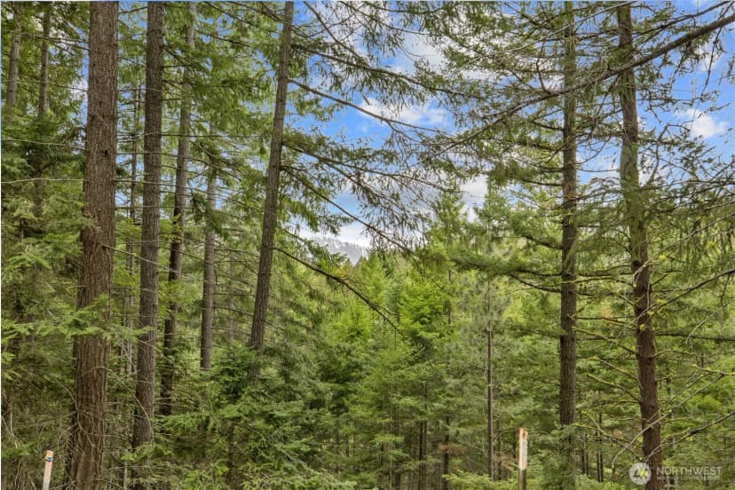 Property photo for 490 Thornton Creek, Cle Elum photo 23