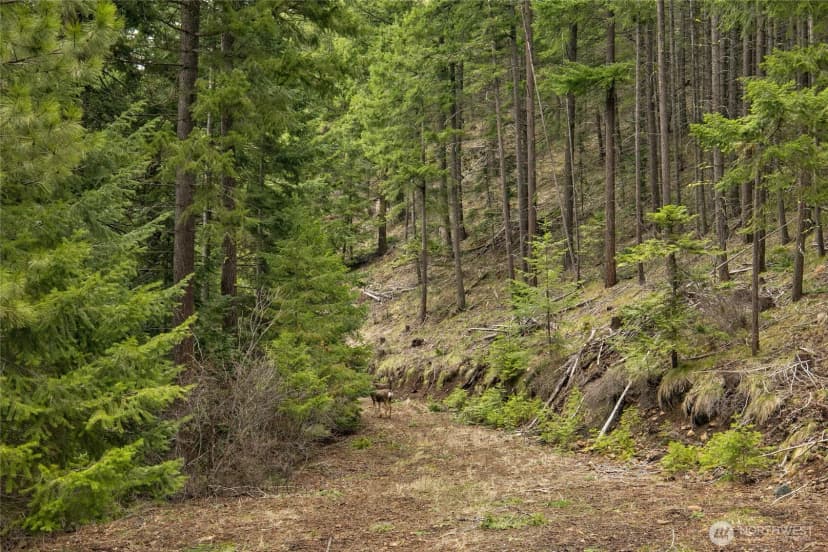 Property photo for 490 Thornton Creek, Cle Elum photo 26