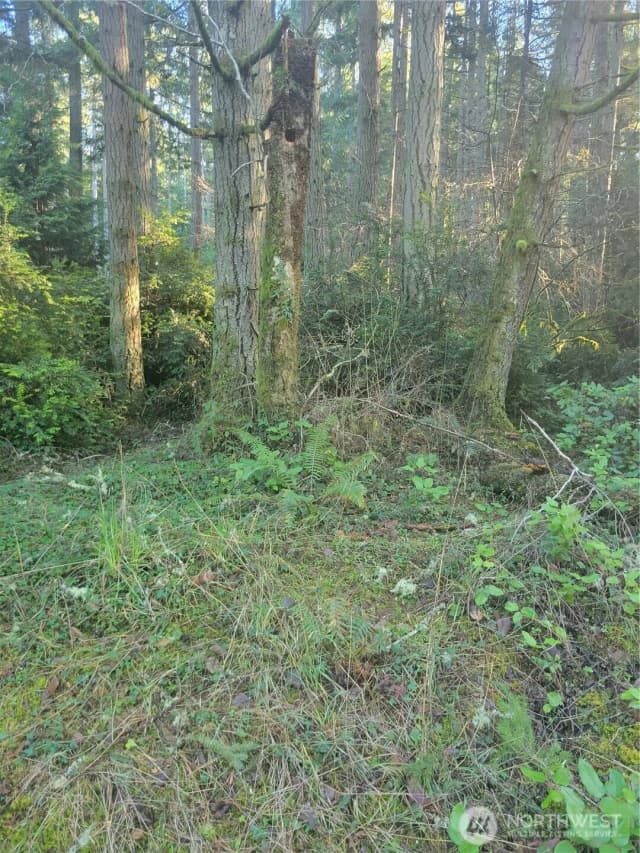 Property photo for 11920 Country Club Drive, Anderson Island