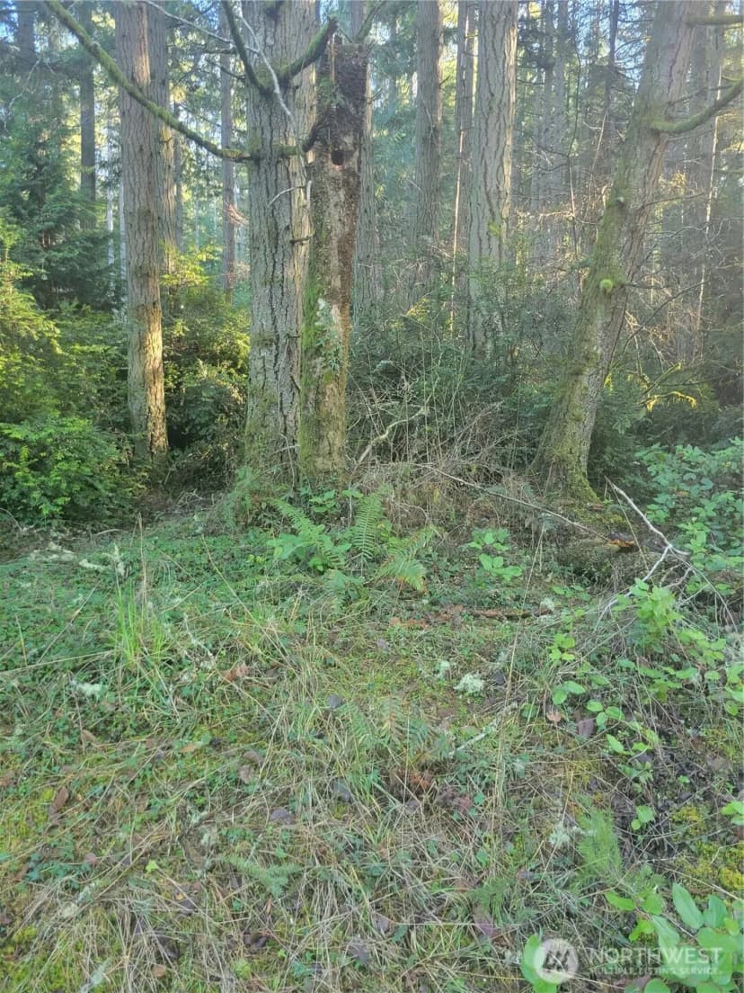 Property photo for 11920 Country Club Drive, Anderson Island