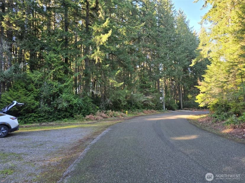 Property photo for 11620 Mill Place, Anderson Island photo 6