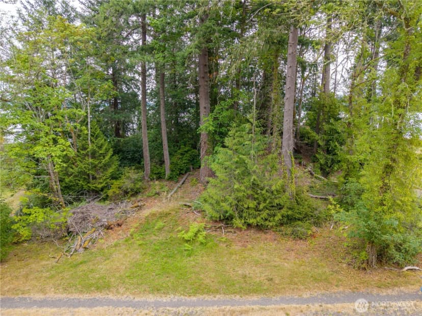 Property photo for 411 151st Avenue Ct Sw, Lakebay photo 12