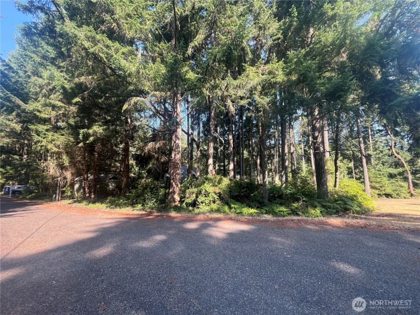Property photo for 11124 Cole Place, Anderson Island photo 16