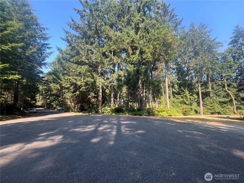 Property photo for 11124 Cole Place, Anderson Island photo 17